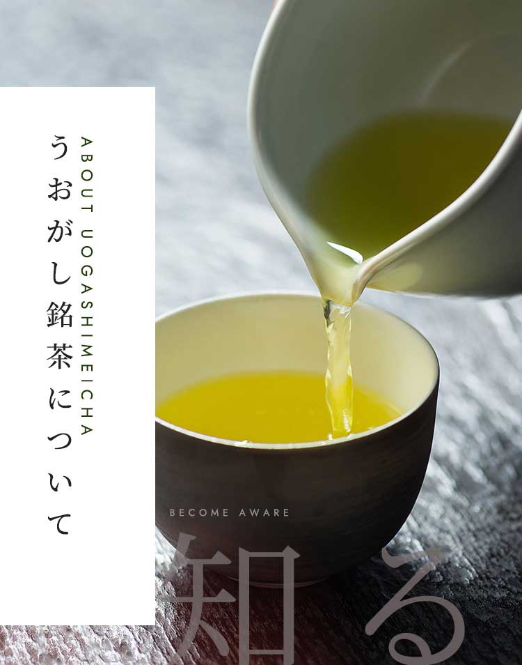 うおがし銘茶