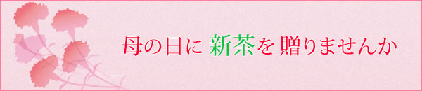 母の日に新茶を贈りませんか