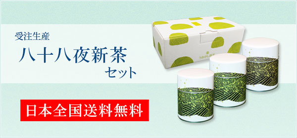 送料無料新茶